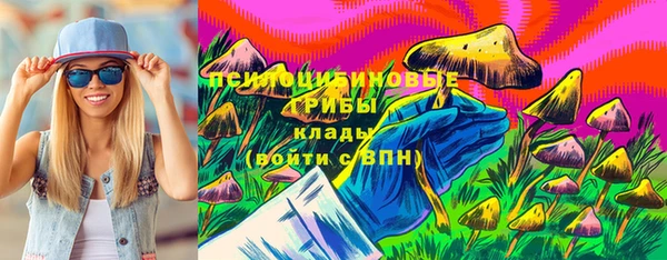 тгк Алексин
