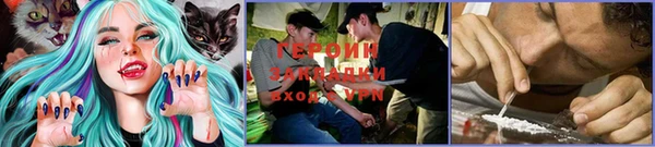 прущий лед Алзамай