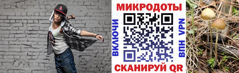 Галлюциногенные грибы Psilocybe  продажа наркотиков  Новошахтинск 